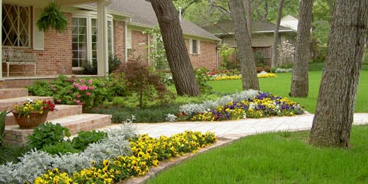 Landscape Design Project 8