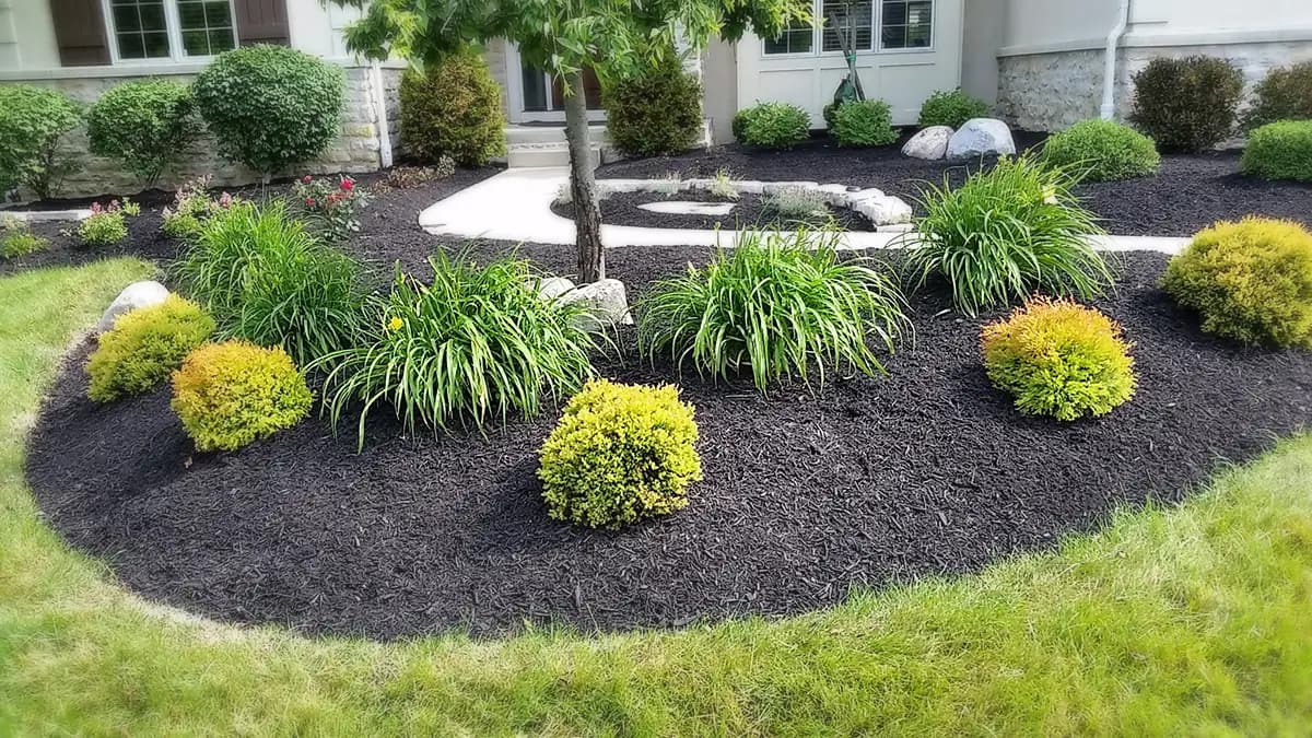 Mulch Project 2