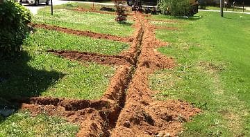 Water-Efficient Landscaping in Texas